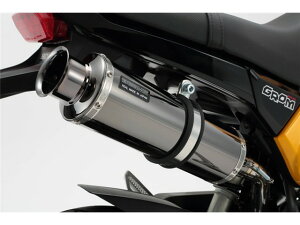 OF2013`(EBJ-JC61) }t[ BEAMS r[X SS300 SP X[p[^ubN XbvI G157-05-004