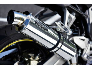 CBR250RRF2017`(2BK-MC51) }t[ BEAMS r[X R-EVO XeX XbvI G177-53-P6J