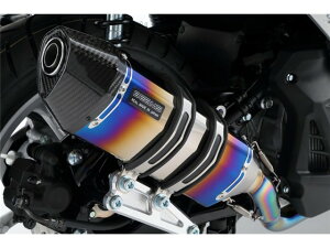 N-MAX125(EBJ-SE86J(2BJ-SED6J(2BJ-SED8J) }t[ BEAMS r[X CORSA-EVO II q[g`^ G244-65-001