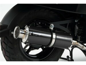 VOXF2015`(JBH-SA52J) }t[ BEAMS r[X SS300 SP J[{ G250-08-000