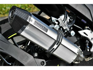 GIXXER SF250(2BK-ED22B) }t[ BEAMS r[X CORSA-EVO II XeX tGL][Xg G344-64-S6J