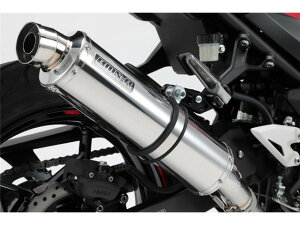 Ninja250 / Z250:2018〜(2BK-EX250P(8BK-EX250Y) マフラー BEAMS ビームス R-EVO ステンレス スリップオン G430-53-P3J