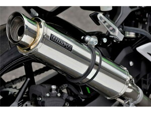Ninja250F2022`(8BK-EX250Y(2BK-EX250P) }t[ BEAMS r[X R-EVO2 XeX XbvI G433-54-P3J