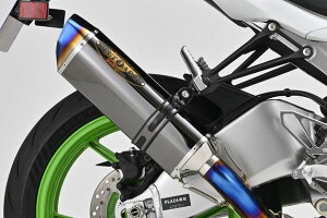 BEET �r�[�g NASSERT Evolution TypeII �t���G�L�]�[�X�g�}�t���[ ���^���u���b�N KAWASAKI �J���T�L Ninja ZX-6R(8BL-ZX636J)(24-) 0223-KI3-MB