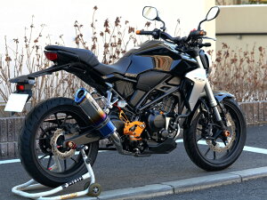WRfS _uA[Y }t[ tGL][Xg SS-OVAL ĂF^CvyJMCAF؁z HONDA CB250R FB1250JM