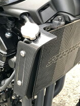 楽天市場】z900rs ラジエータスクリーンの通販
