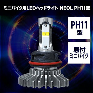 SPHERE LIGHT XtBACg [h100 / [h50 ~joCNpLEDwbhCg NEOL PH11^ 6000K SBNS060