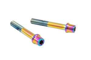 Brembo u{ XeXLp[}Eg{g `^F 65mm e[p[Lbv M10/P1.25 wNTr 2{ vgu{ CMBT-065T