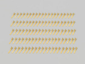 DAYTONA fCgi RlN^[ [q110^ (IX) 70808