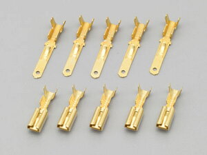 DAYTONA fCgi ^[qZbg 110^ RlN^[p 96160