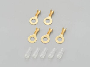 DAYTONA fCgi ی^[q LA106 (Zbg)6 6 96164