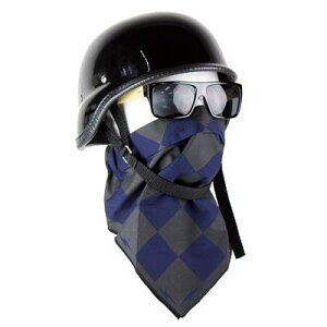 GOODS ObY oCJ[YMA DUSTPROOF htFCX}XN(ht[Xf) NAVY GA-00197