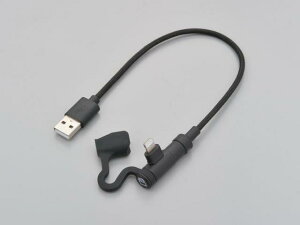 DAYTONA fCgi oCNpUSB[dP[u Type-A to Lightning 15610