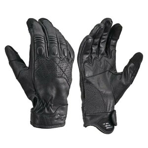 ݌ɗL  fCgi DAYTONA oCN O[u v(Mv) ~ďHt X}zΉ X[obN U[O[u DG-019 ubN LTCY 61717