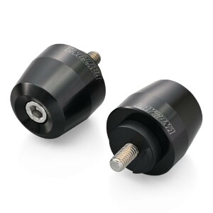 ݌ɗL  DAYTONA fCgi o[Gh oCN }n(M6)p A~rbg T[tFX^Cv ubN 63879