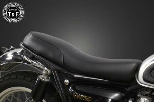 Garage T&F K[W eB[AhGt Kawasaki JTL W800/650/400 X[XV[g(Face-1) W650ST05