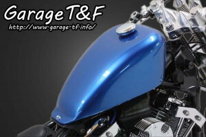 Garage T&F K[W eB[AhGt hbOX^[400 ~fBAX|[cX^[^NKIT DS400GT02
