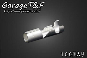Garage T&F K[W eB[AhGt ی^M{V[q X (100) PC16