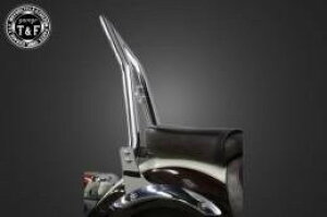 Garage T&F K[W eB[AhGt hbOX^[250 ɑ38V[V[o[O(bL)tF_[p 703162