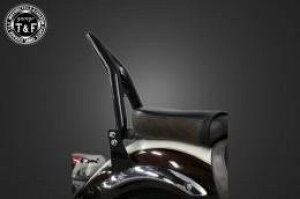 Garage T&F K[W eB[AhGt hbOX^[250 ɑ38V[V[o[~fBA(ubN)tF_[p 703164