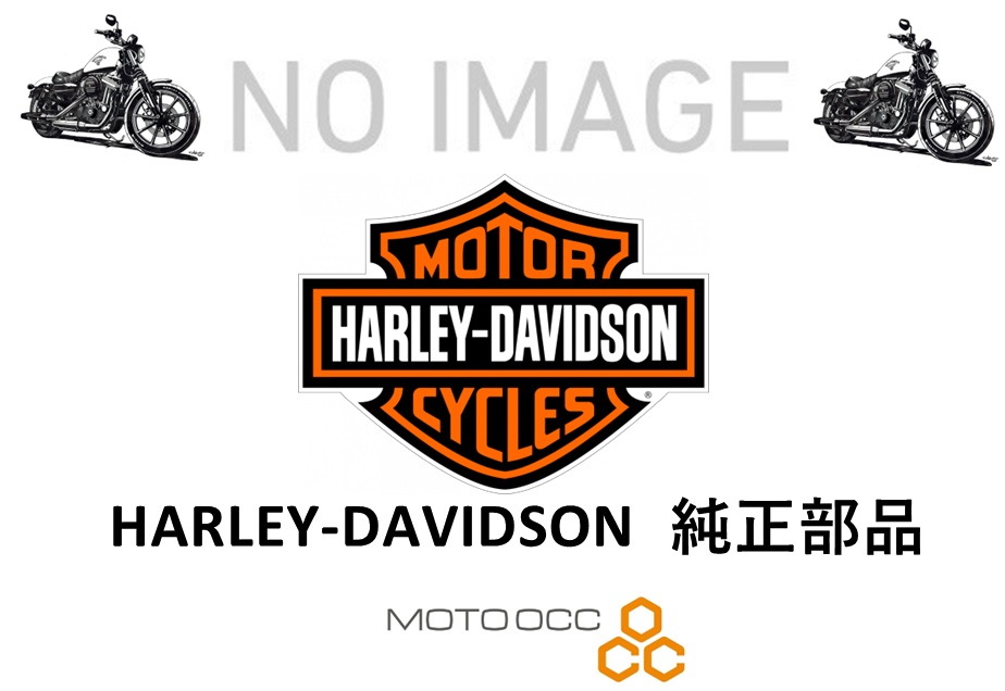 HARLEY-DAVIDSON ハーレーダビッドソン純正部品 GLOSS BLACK TOUR-PACK HINGES/L 53000343 53000343：MOTO-OCC