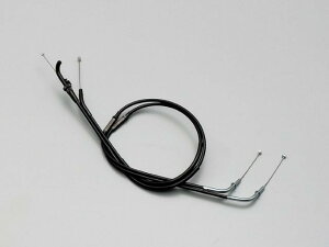 yX[p[Z[N[|szHARRICANE nP[ O XbgP[u W Z1000(03-06) 100L ubN HB6794