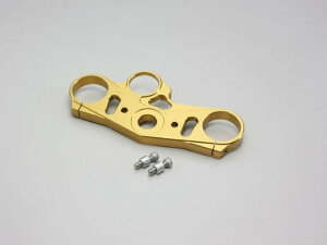 �݌ɗL�� HURRICANE �n���P�[�� �W�������~�� �g�b�v�u���b�W. S1000RR(12) �S�[���h�A���}�C�g HT0647G-10