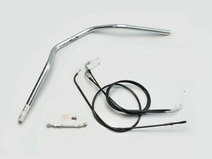 �v�[���m�F HARRICANE �n���P�[�� ZII-TYPE �n���h��SET W800 20 �N���[�����b�L H717-078C