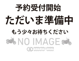 �݌ɗL�� DAYTONA �f�C�g�i �o�C�N�p �I�C���t�B���^�[ O�����O �h�������b�V���[ KLX230/R/S/R S�i�h �I�C�������p�[�t�F�N�g�Z�b�g 31020
