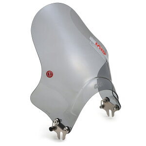 DAYTONA GIVI (Wr) oCNp XN[ ėp(wbhCgXe[Nv) Z~X[N A201 ^EChXN[ 22988