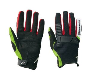 Kawasaki JTL [u It[hO[u ubN LLTCY J8308-0004