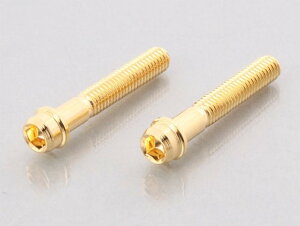 KITACO L^R rrbg{g(24K) M6XP1.0X100mm(lW)/1P 0901-060-00016