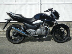 WRfS _uA[Y }t[ EhEXeXTCT[ XbvI GSR250/GSR250S BF3210JM