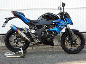 WRfS _uA[Y }t[ EhEĂF`^TCT[ XbvI Z250SL BK4265JM