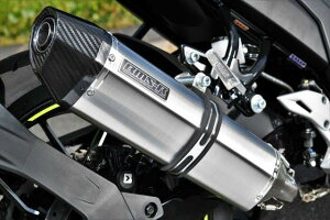 BEAMS r[X CORSA-EVOII XeXTCT[ {F ԎFSUZUKI GIXER SF250 G344--64-S6J