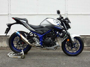 WRfS _uA[Y EhEĂF`^TCT[ tGL][Xg MT-25 LS2250JM-1