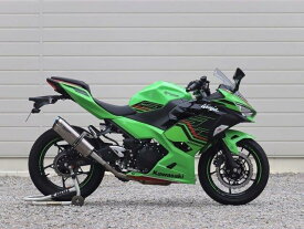 WR’S ダブルアールズ SS-OVAL ソリッドタイプ スリップオン Ninja400 SK4430JM