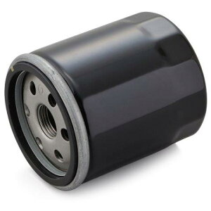 DAYTONA fCgi oCNp vCX ICtB^[ n[[n X|[cX^[XL1200V[Y(99-20)  10 35041 ʂNo:F-27 35041