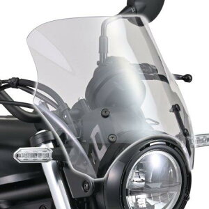 DAYTONA fCgi uXgoA[ XN[ KAWASAKI JTL G~l[^[(24) NA[ 42157