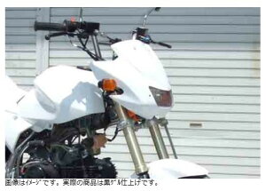 NOJIMA mW}GWjAO CgJo[ST Z110Lbg BLKQ KSR110 NCW621HC-BK