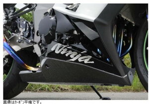 NOJIMA mW}GWjAO A_[JE J[{D Ninja1000 11-19 NCW634UC-CFA