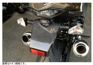 NOJIMA mW}GWjAO tF_[XLbg Q Ninja1000 14-19 NCW644FL-BK