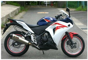 NOJIMA �m�W�}�G���W�j�A�����O ���b�N�I�� �t��EX 1-1 �L�J�C�}�Q CBR250R 11-13 NT022LC-CLK