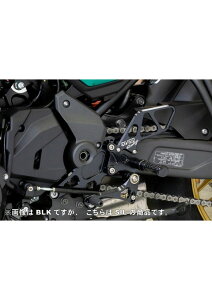 �o�b�N�X�e�b�v 4�|�W�V���� SIL Z650RS(22-23) �I�[���@�[ �I�[�o�[ OVER ���[�V���O 51-80-01