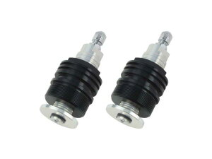 POSH Faith |bV tFCX CjVAWX^[Type1iGA[outj ubN{fB/Vo[Vtg V-MAX(-1992) 027665-03