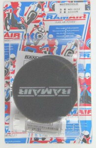 RAM AIR GA GAtB^[ MS^Cv 1P VO MS-S22