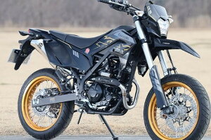 Sptadao SPj KAWASAKI KLX230SM POWER BOX TCT[ KL2-PB-02