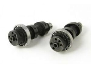 SP武川 SPタケガワ DOHC4Vヘッド用カムシャフト 01-08-0014