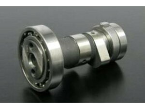 SP武川 SPタケガワ R-20Eカムシャフト(17R-Stage+Dヘッド専用) 01-08-0174