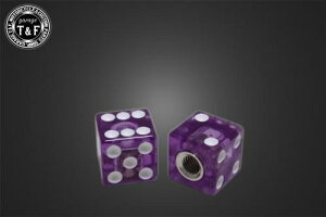 Garage T&F K[W eB[AhGt ouLbv(_CX-NA[p[v) VCDICECPU